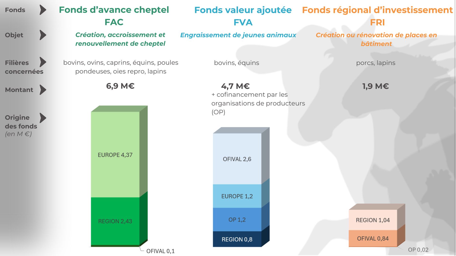 Illustration zoom constitution des fonds